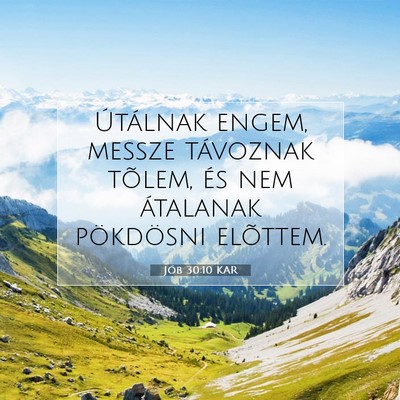 Jób 30:10 Bibliai vers magyarázata