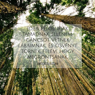 Jób 30:12 Bibliai vers magyarázata