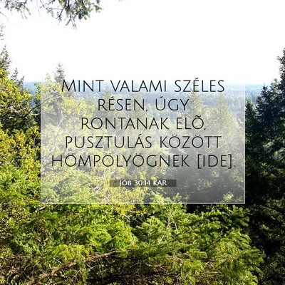 Jób 30:14 Bibliai vers magyarázata