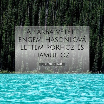 Jób 30:19 Bibliai vers magyarázata