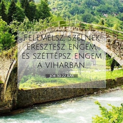 Jób 30:22 Bibliai vers magyarázata