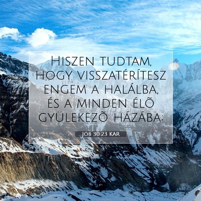 Jób 30:23 Bibliai vers magyarázata