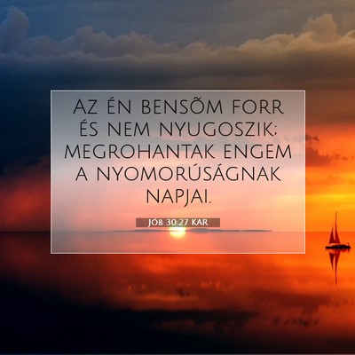 Jób 30:27 Bibliai vers magyarázata