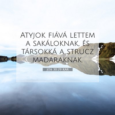 Jób 30:29 Bibliai vers magyarázata