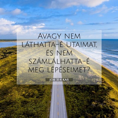Jób 31:4 Bibliai vers magyarázata
