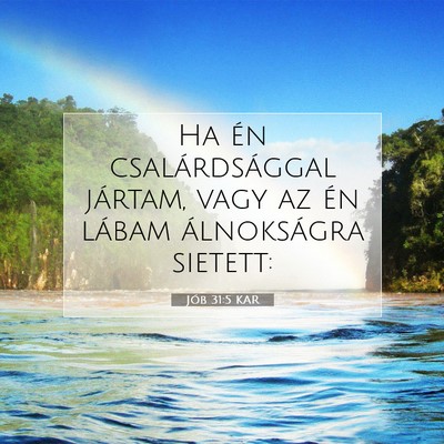 Jób 31:5 Bibliai vers magyarázata