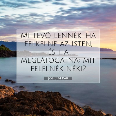 Jób 31:14 Bibliai vers magyarázata
