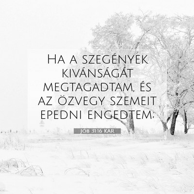 Jób 31:16 KAR Bibliai verskép