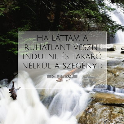 Jób 31:19 Bibliai vers magyarázata