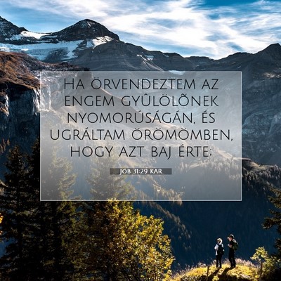 Jób 31:29 Bibliai vers magyarázata
