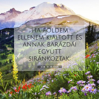 Jób 31:38 Bibliai vers magyarázata
