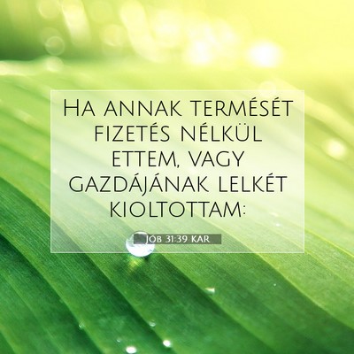 Jób 31:39 Bibliai vers magyarázata