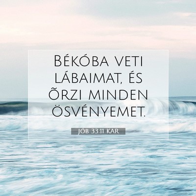 Jób 33:11 Bibliai vers magyarázata