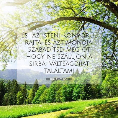 Jób 33:24 Bibliai vers magyarázata