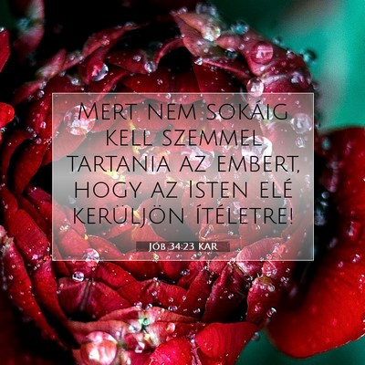 Jób 34:23 Bibliai vers magyarázata