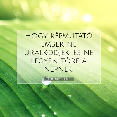 Jób 34:30 Bibliai vers magyarázata