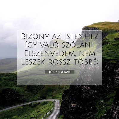 Jób 34:31 Bibliai vers magyarázata