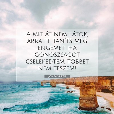 Jób 34:32 Bibliai vers magyarázata