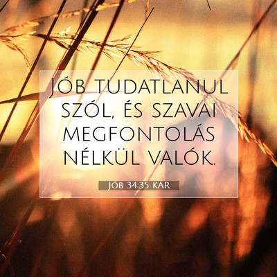 Jób 34:35 Bibliai vers magyarázata