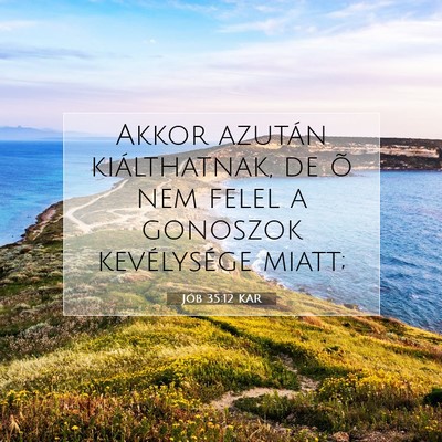 Jób 35:12 Bibliai vers magyarázata
