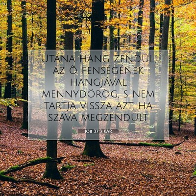Jób 37:3 Bibliai vers magyarázata