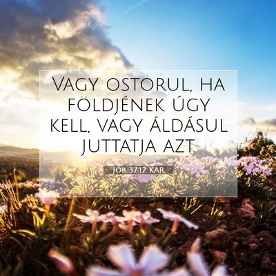 Jób 37:12 Bibliai vers magyarázata