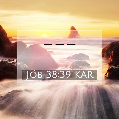 Jób 38:39 KAR Bibliai verskép