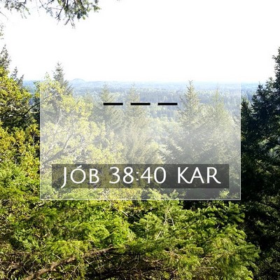 Jób 38:40 Bibliai vers magyarázata