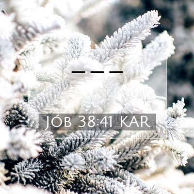 Jób 38:41 Bibliai vers magyarázata