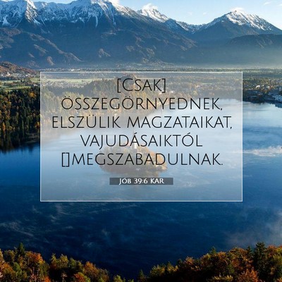 Jób 39:6 KAR Bibliai verskép