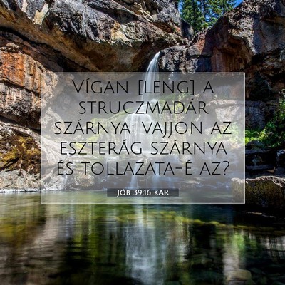 Jób 39:16 KAR Bibliai verskép