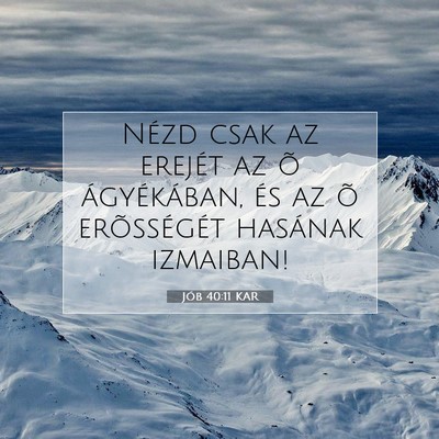 Jób 40:11 Bibliai vers magyarázata