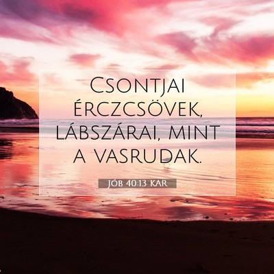 Jób 40:13 Bibliai vers magyarázata