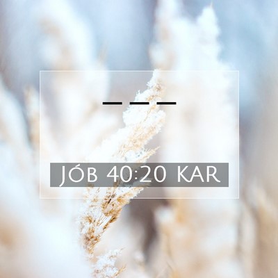 Jób 40:20 KAR Bibliai verskép