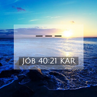 Jób 40:21 Bibliai vers magyarázata