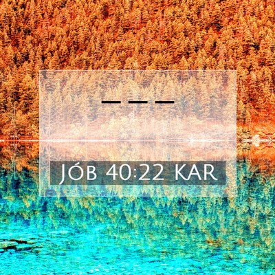 Jób 40:22 Bibliai vers magyarázata
