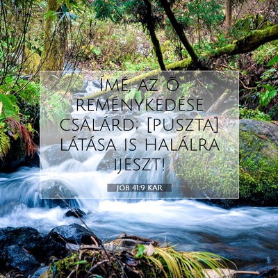 Jób 41:9 Bibliai vers magyarázata