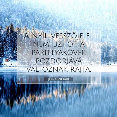 Jób 41:28 Bibliai vers magyarázata