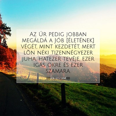 Jób 42:12 KAR Bibliai verskép
