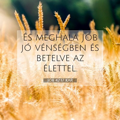 Jób 42:17 Bibliai vers magyarázata