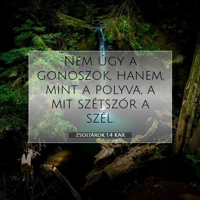 Zsoltárok 1:4 Bibliai vers magyarázata