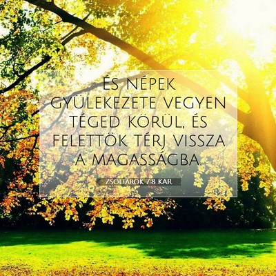 Zsoltárok 7:8 KAR Bibliai verskép