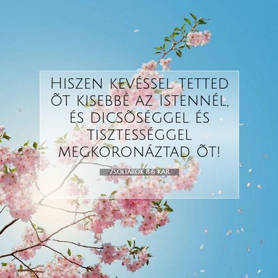 Zsoltárok 8:6 Bibliai vers magyarázata