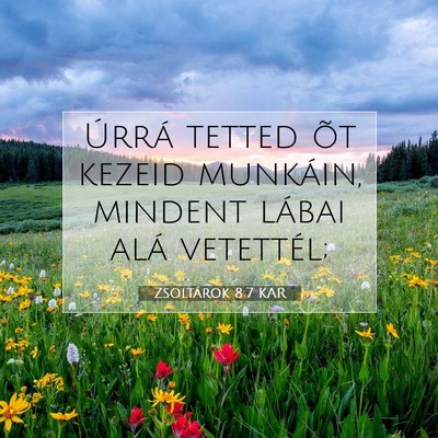 Zsoltárok 8:7 Bibliai vers magyarázata