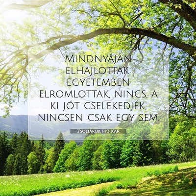 Zsoltárok 14:3 Bibliai vers magyarázata
