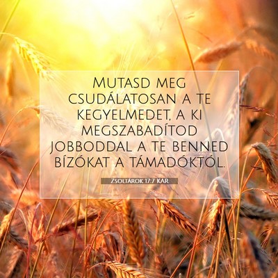 Zsoltárok 17:7 KAR Bibliai verskép
