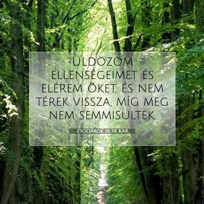 Zsoltárok 18:38 Bibliai vers magyarázata