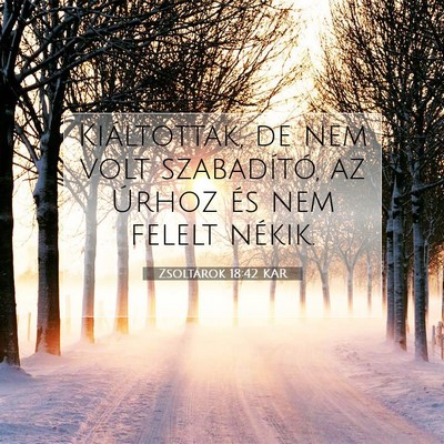 Zsoltárok 18:42 Bibliai vers magyarázata