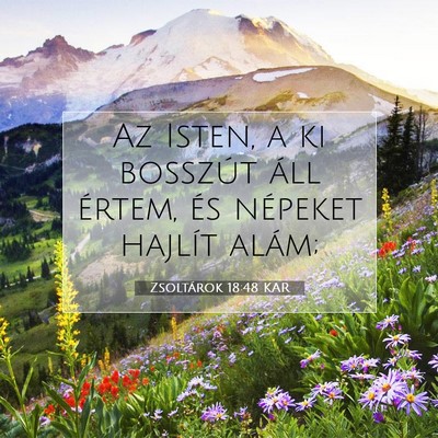 Zsoltárok 18:48 Bibliai vers magyarázata