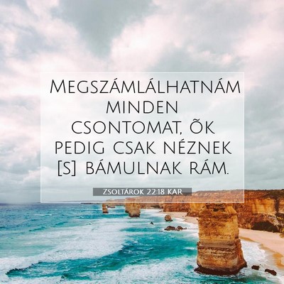 Zsoltárok 22:18 Bibliai vers magyarázata